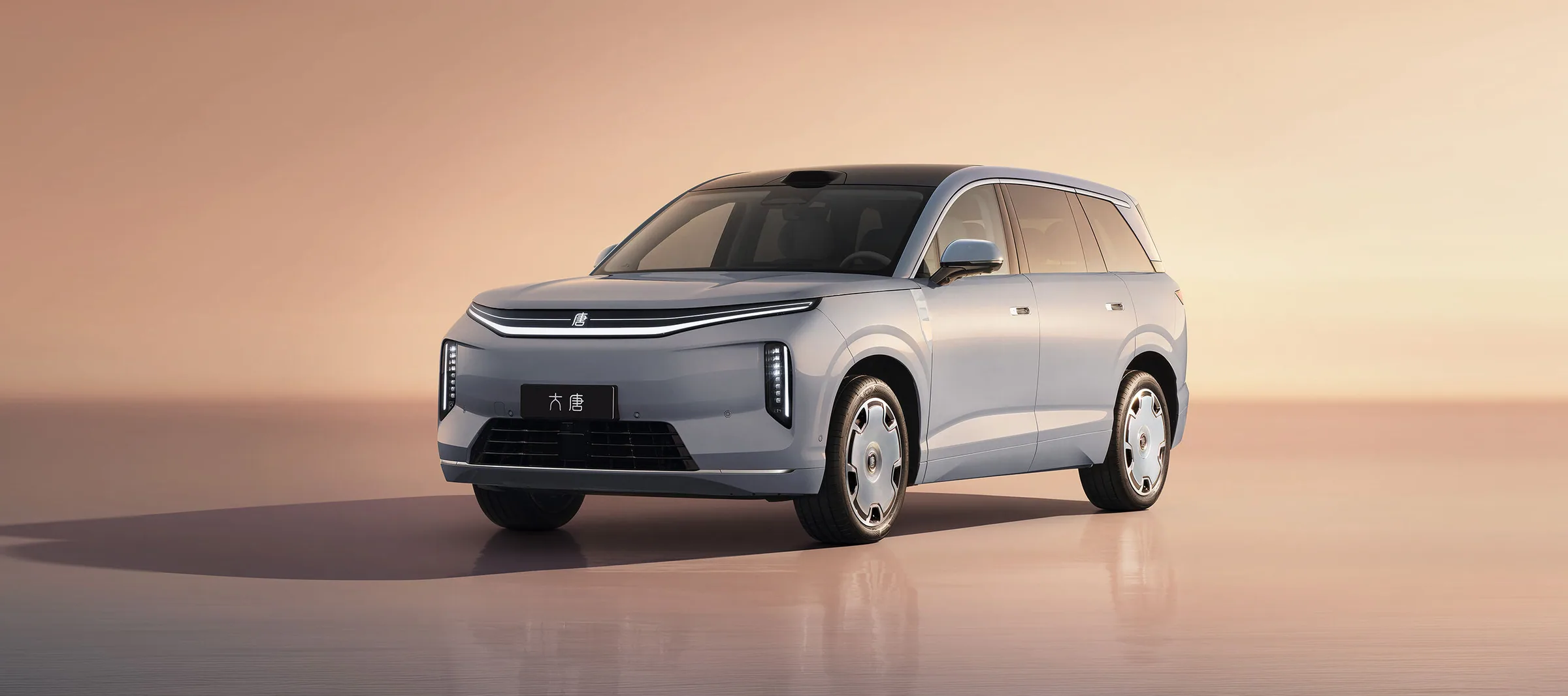 BYD Great Tang EV 2026 pose 4