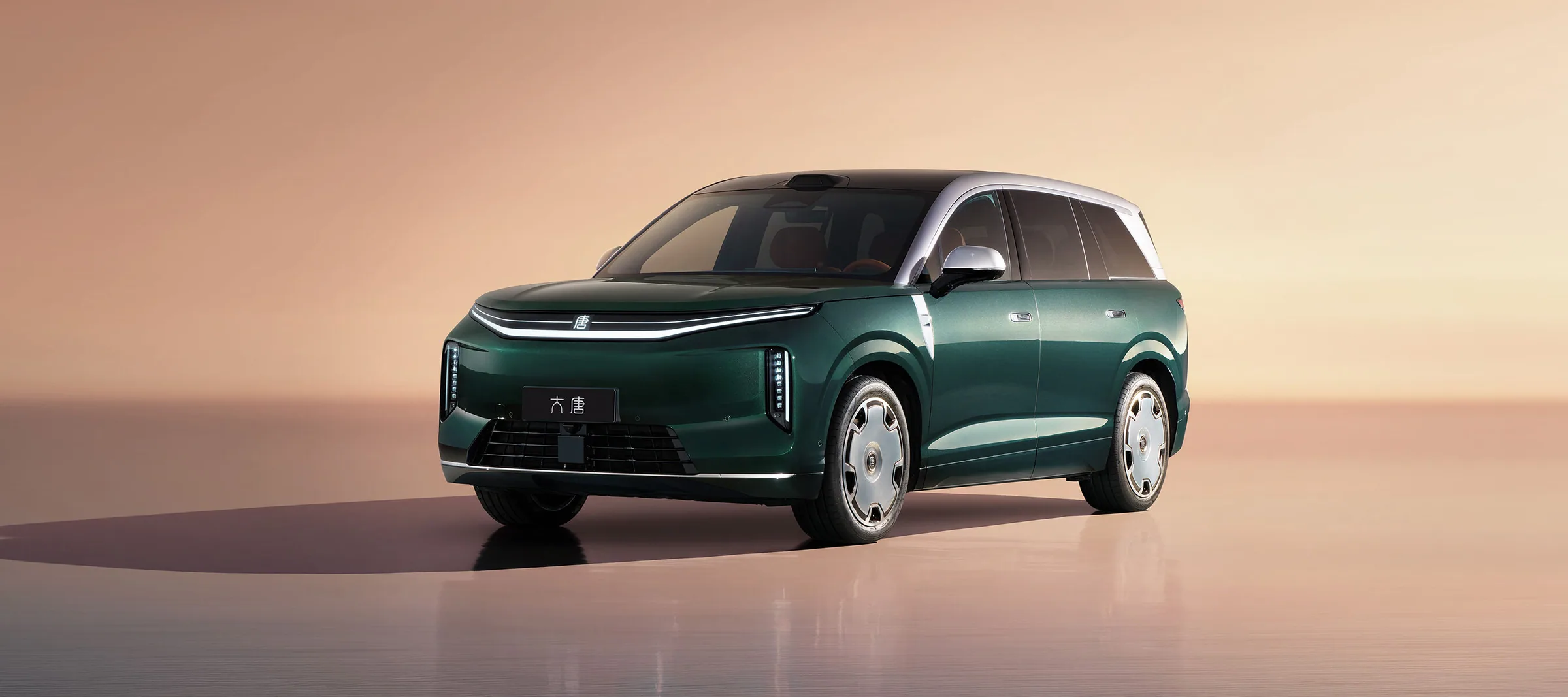BYD Great Tang EV 2026 pose 5