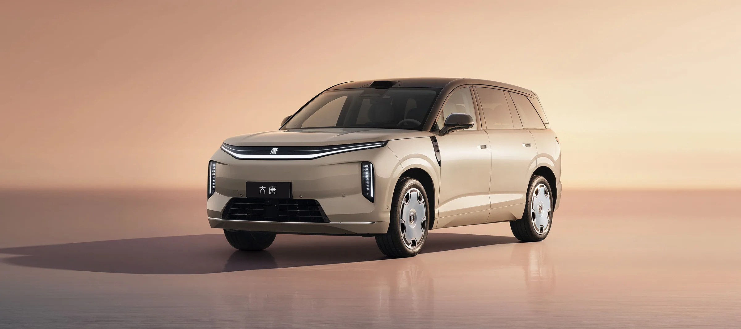 BYD Great Tang EV 2026 pose 6