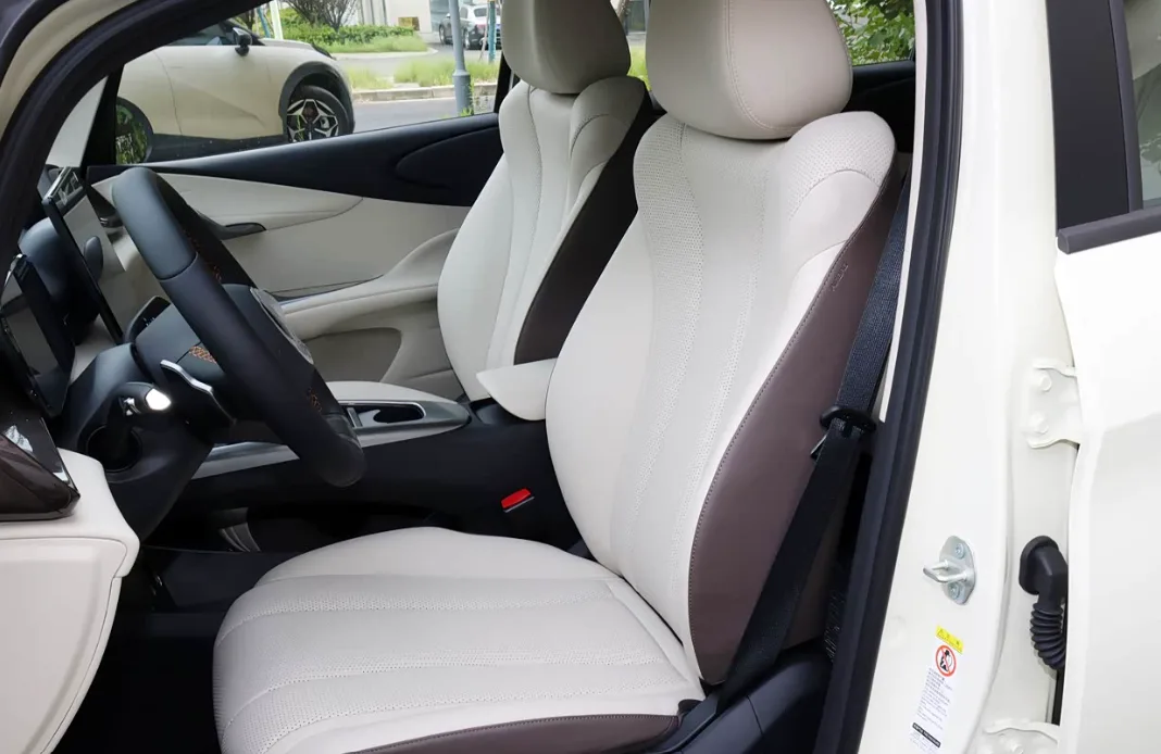 BYD Dolphin — cabin